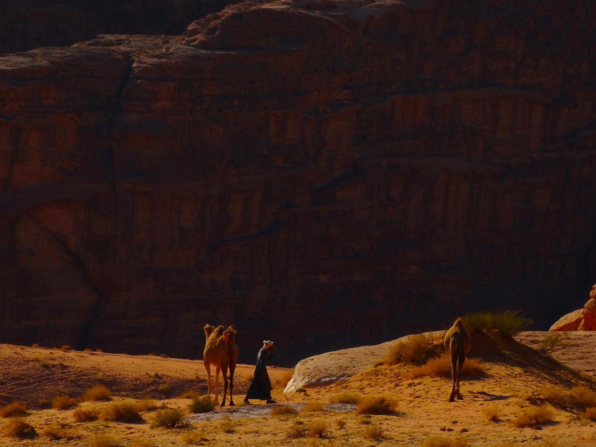 Wadi Rum View Camp מראה חיצוני תמונה
