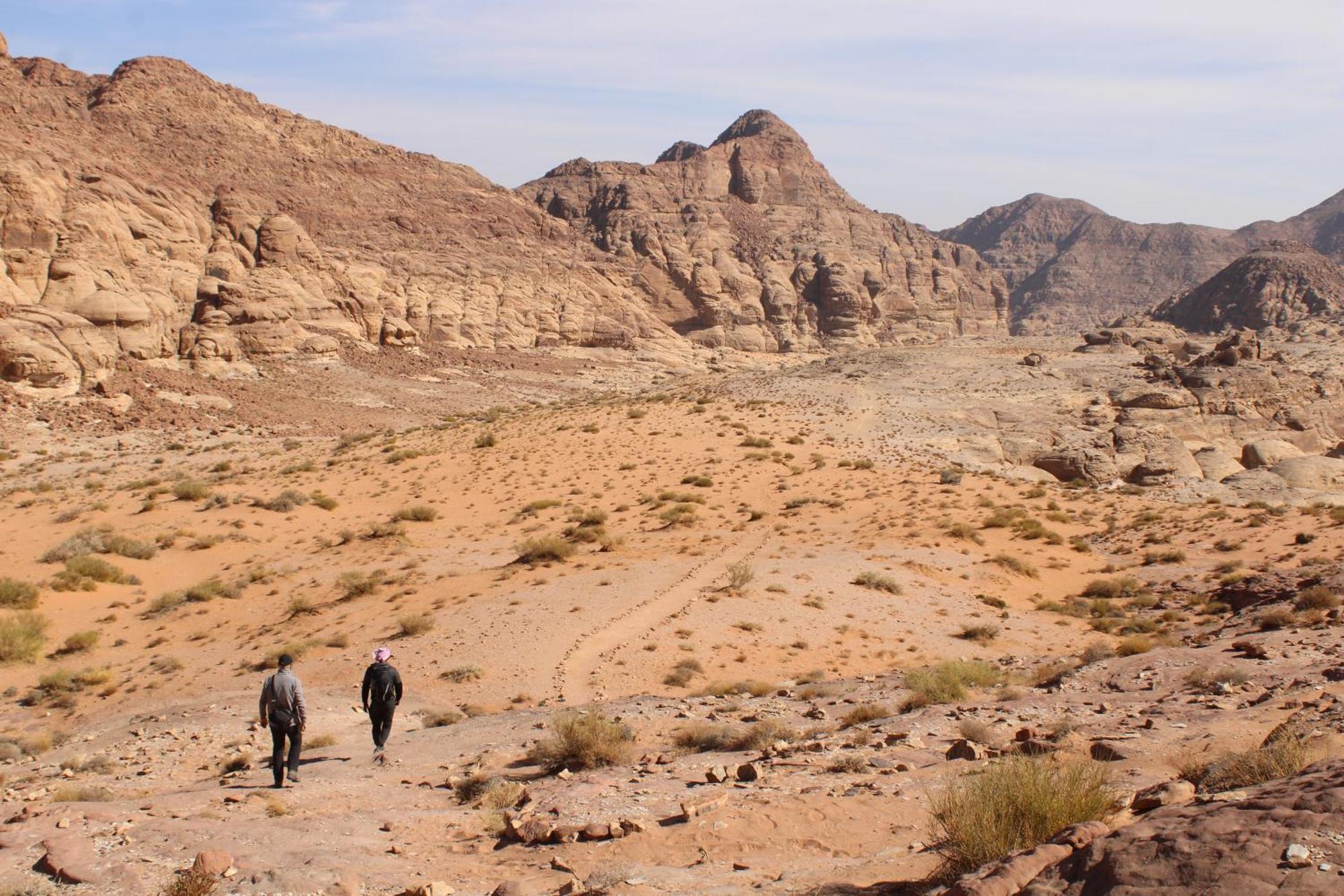 Wadi Rum View Camp מראה חיצוני תמונה