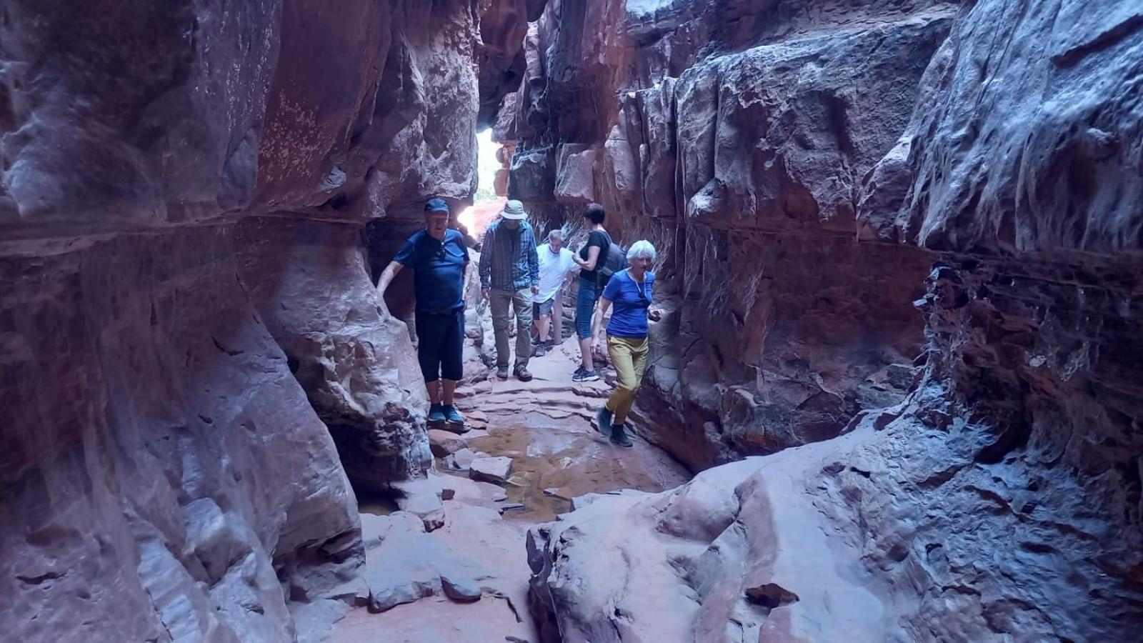 Wadi Rum View Camp מראה חיצוני תמונה